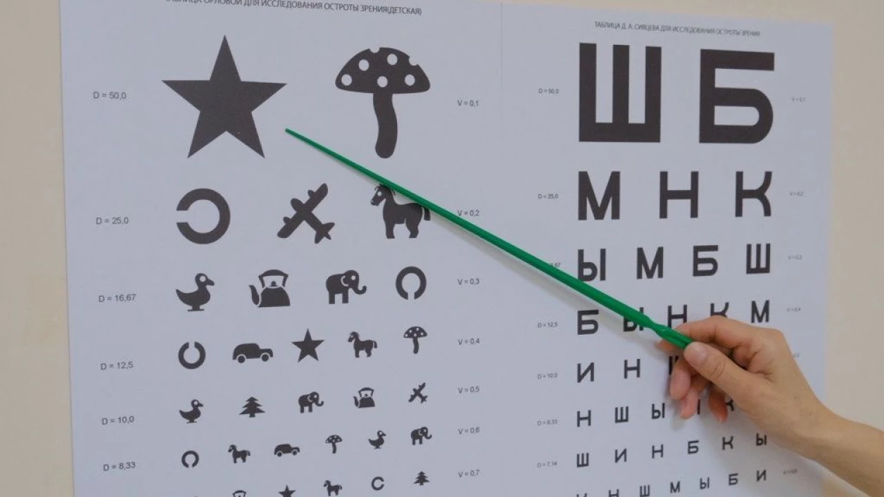 Балабақшадағы бала денсаулығын сақтаудың моделі ретіндегі Check Up бағдарламасы 