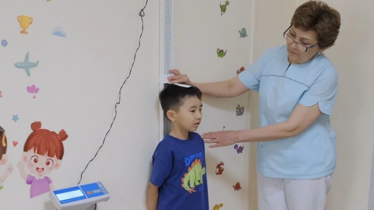 Балабақшадағы бала денсаулығын сақтаудың моделі ретіндегі Check Up бағдарламасы 