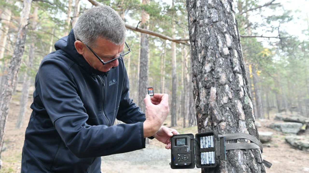 Научный сотрудник ГНПП "Бурабай" объяснил, зачем в лесу устанавливают фотоловушки 