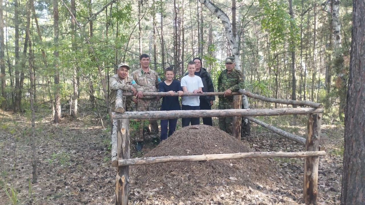 «Парктер шеруі» акциясы аясында Мақпал және Бұланды ауылдарының мектеп оқушыларының қатысуымен «Құмырсқаның илеуі» атты шара өтті 