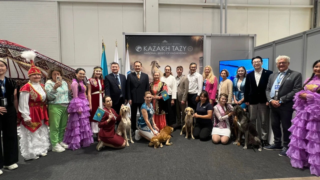 World Dog Show 2025: World Dog Show 2025: Қазақ тазысы халықаралық қауымдастықты таңғалдырды 