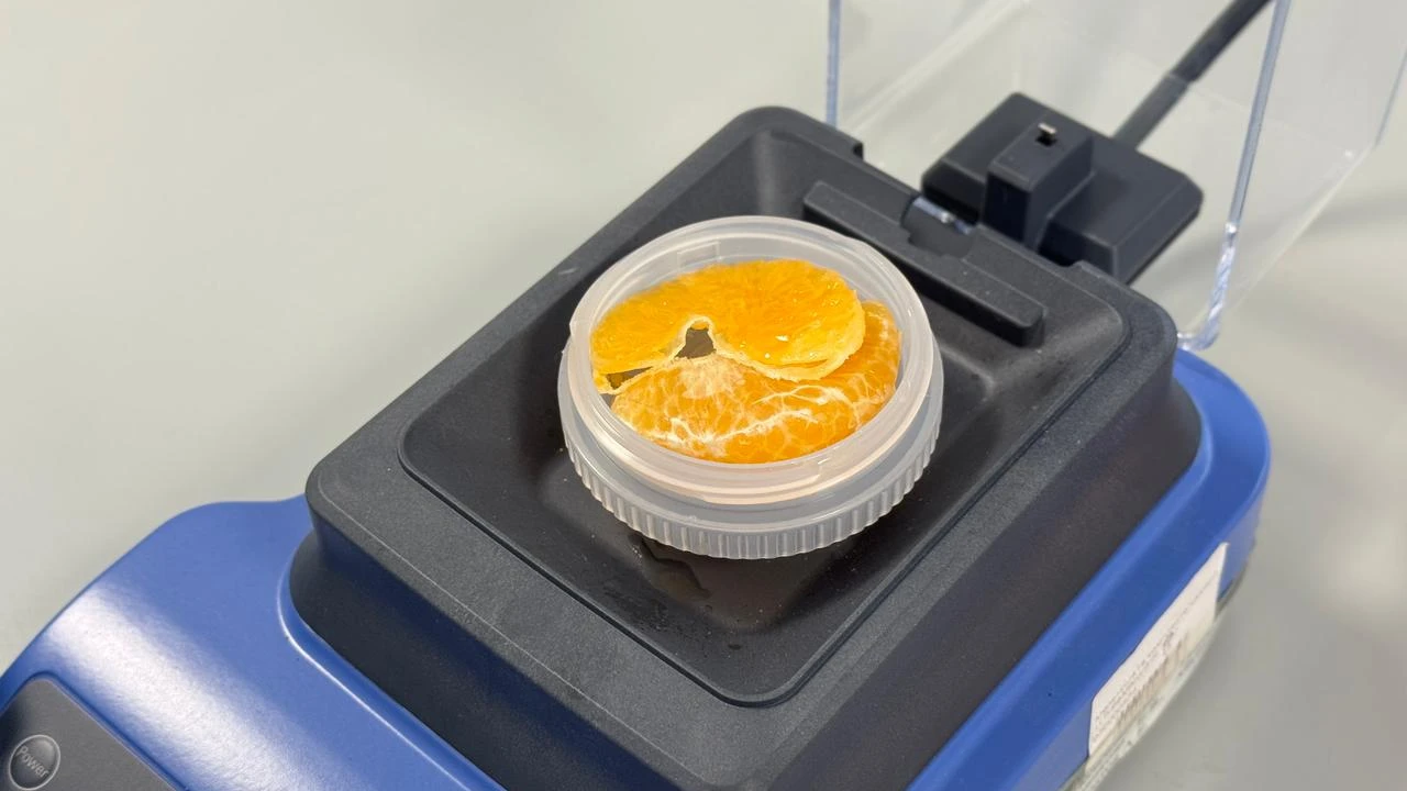 Качество и безопасность мандаринов зимой: мнение экспертов ЦСЭЭ 