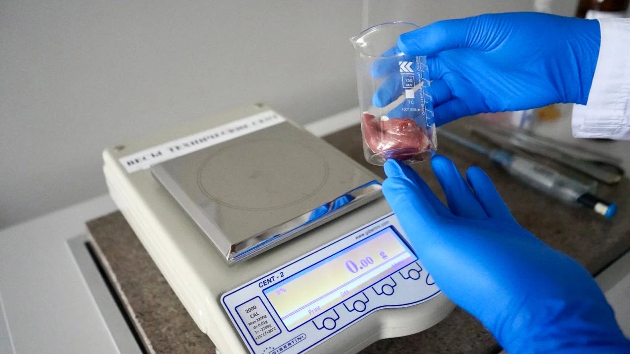 Стойкие загрязнители под контролем: работа Референс-лаборатории ЦСЭЭ 