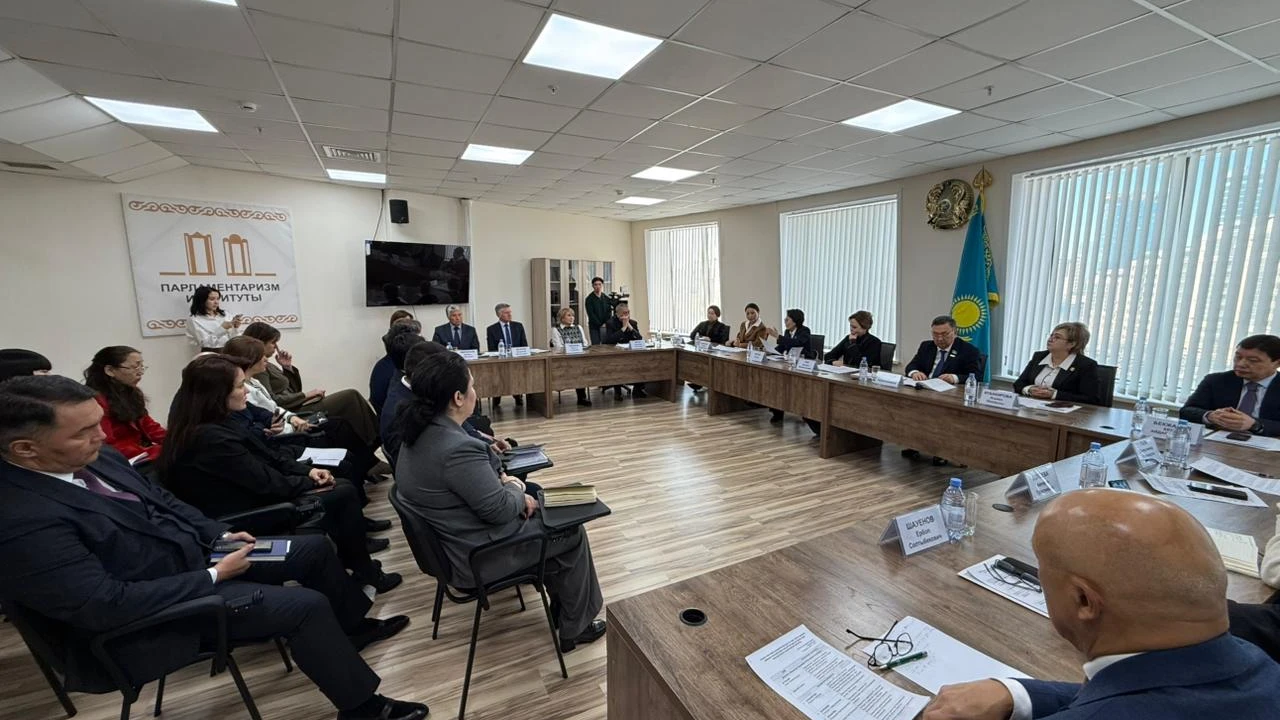 Парламентаризм институтында жаңа Конституцияның жобасы талқыланды 