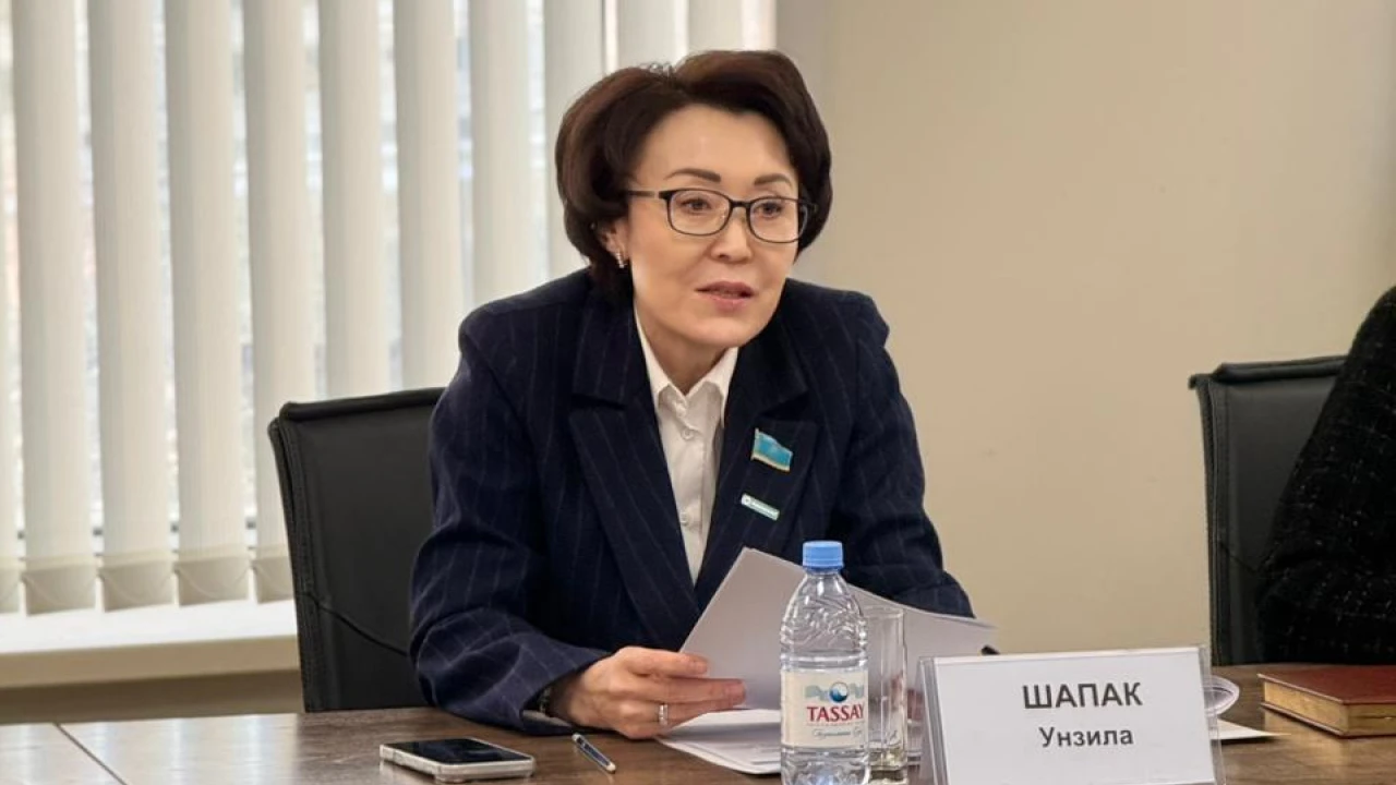 Парламентаризм институтында жаңа Конституцияның жобасы талқыланды 