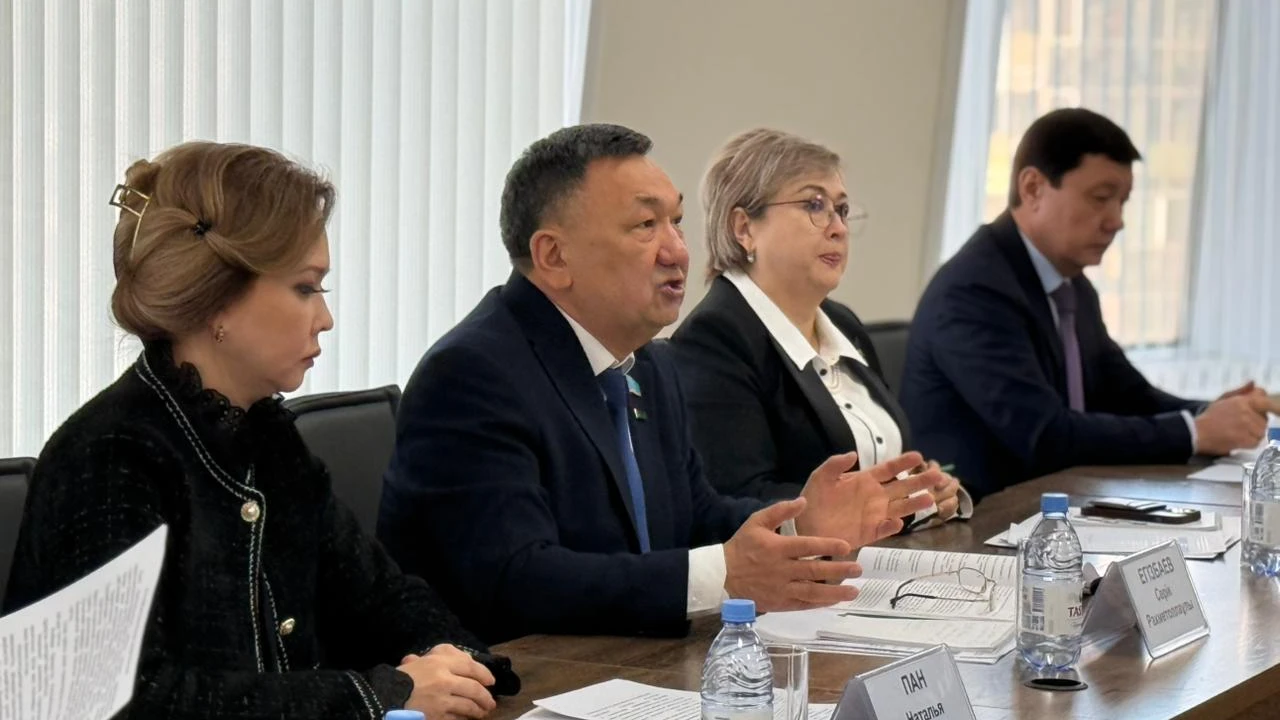 Парламентаризм институтында жаңа Конституцияның жобасы талқыланды 