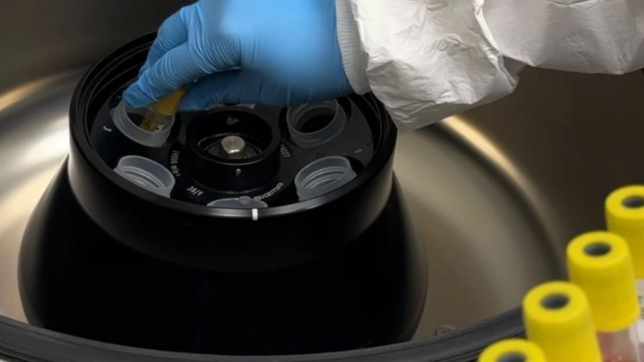 Медициналық орталықтың референс-зертханасы тұмау вирусын қалай анықтайды және зерттейді? 