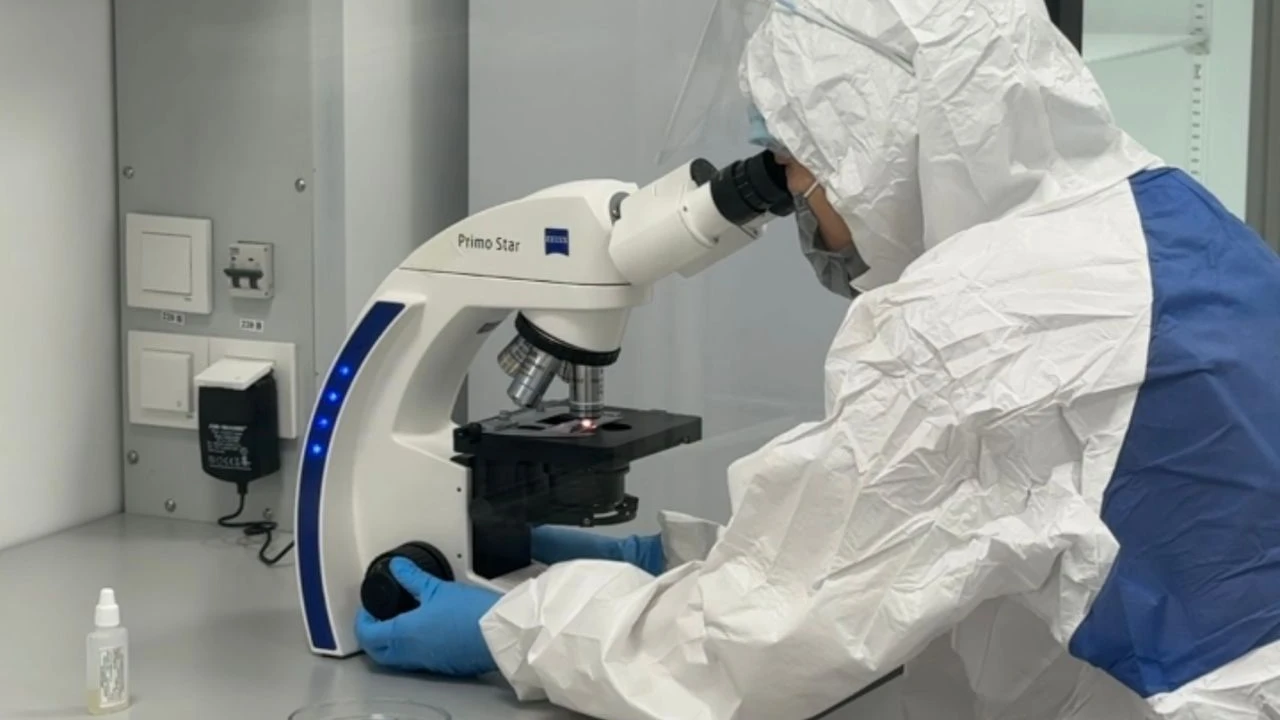 Медициналық орталықтың референс-зертханасы тұмау вирусын қалай анықтайды және зерттейді? 