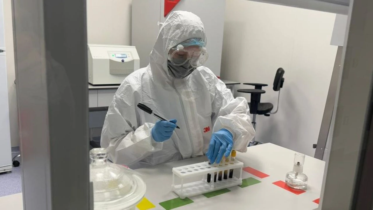 Медициналық орталықтың референс-зертханасы тұмау вирусын қалай анықтайды және зерттейді? 