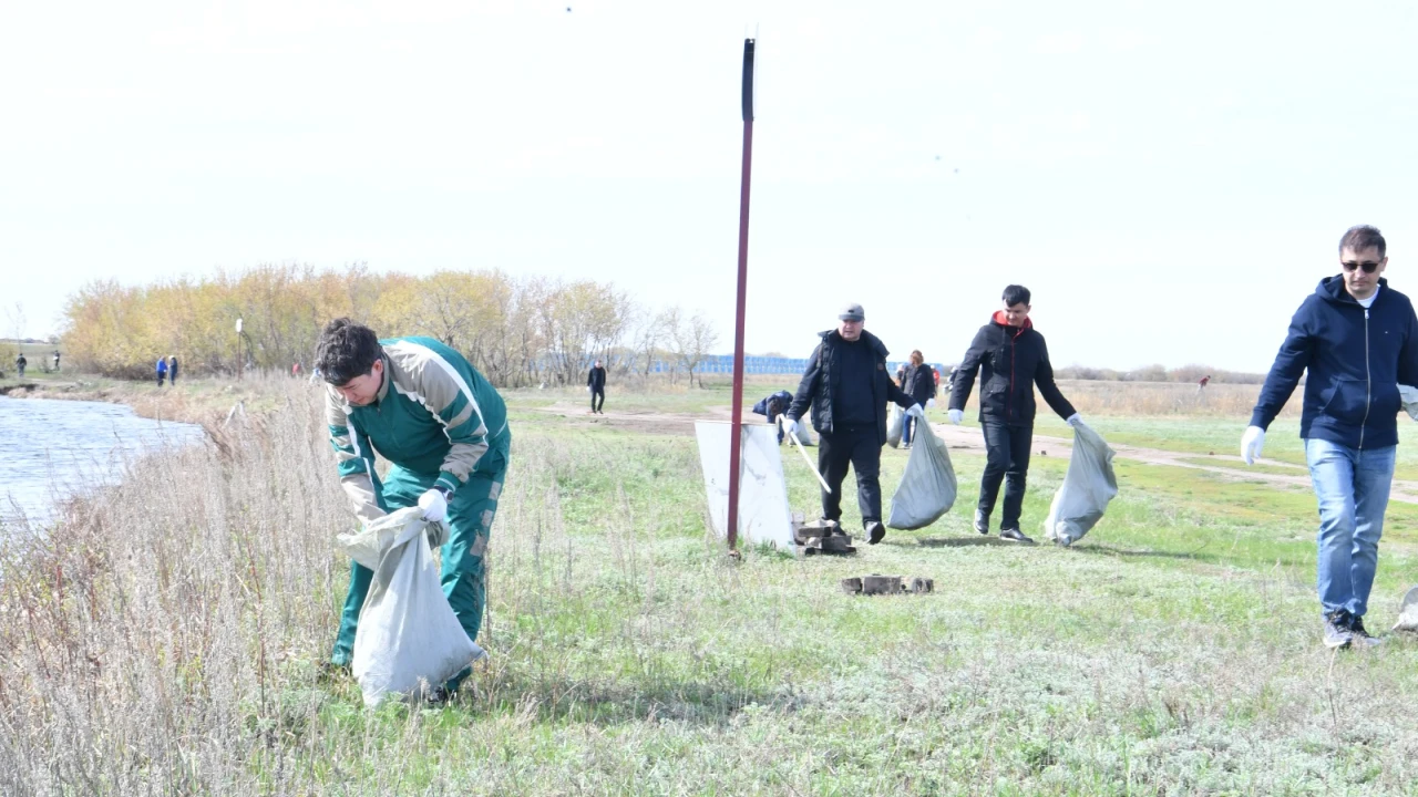 Свыше 1700 работников системы УДП приняли участие в общегородском субботнике 
