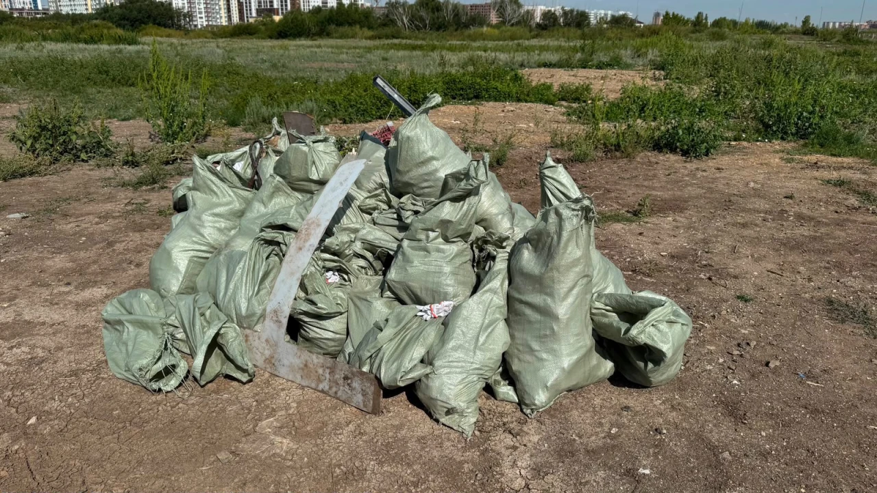 ПІБ қарасты ұйымдарының қызметкерлері Қар полигонында сенбілік өткізді 