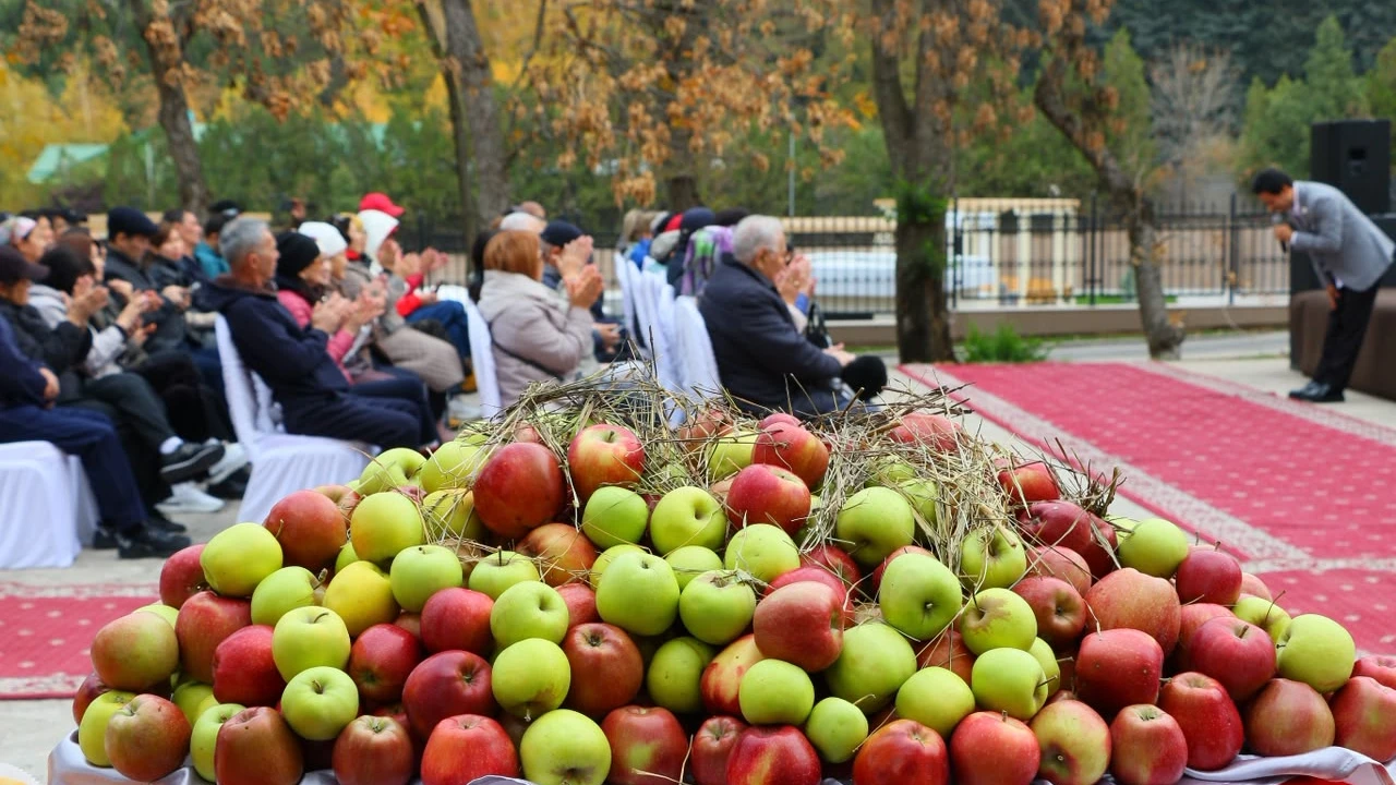 Almaty Resort шипажайында Алма күніне арналған дәстүрлі фестиваль өтті 